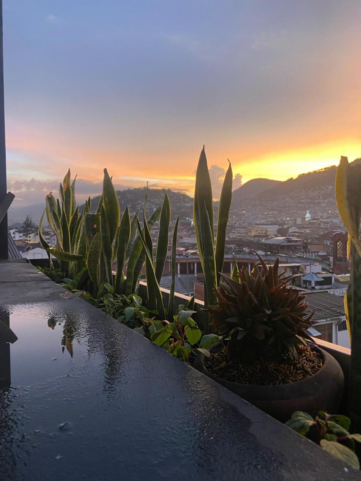Hostal La Guayunga Rooftop 키토 외부 사진